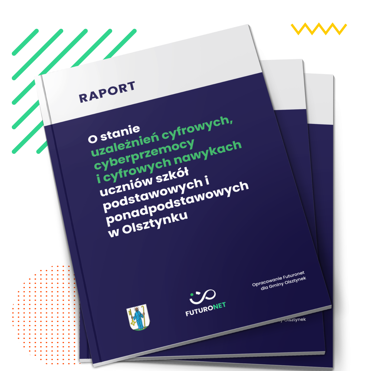 raport diagnostyczny Futuronet dla Gminy Olsztynek